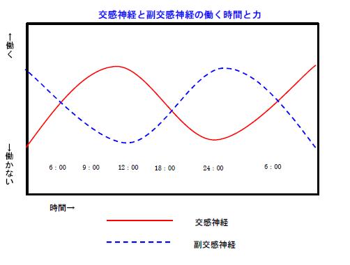 自律神経のバランス