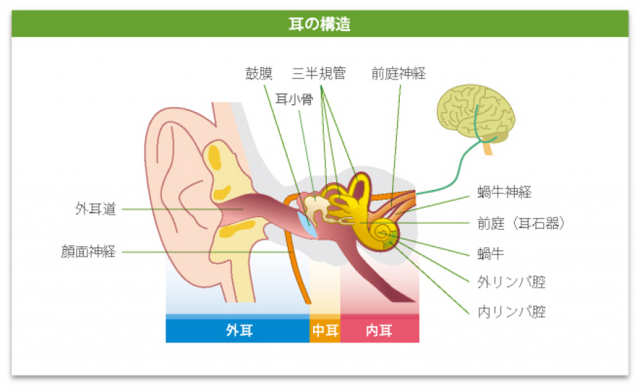 めまい　ふらつき　前庭器官