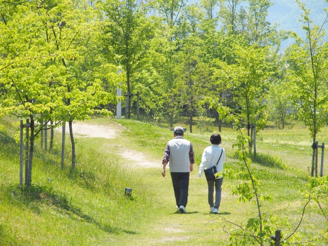 セロトニン活性　早寝早起き