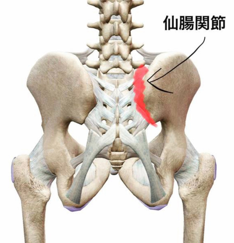 仙腸関節