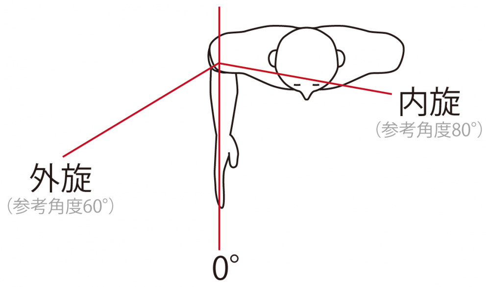 五十肩四十肩　外旋　内旋