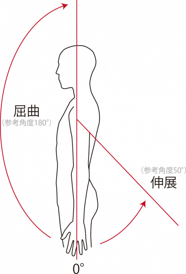 五十肩　四十肩　屈曲　伸展