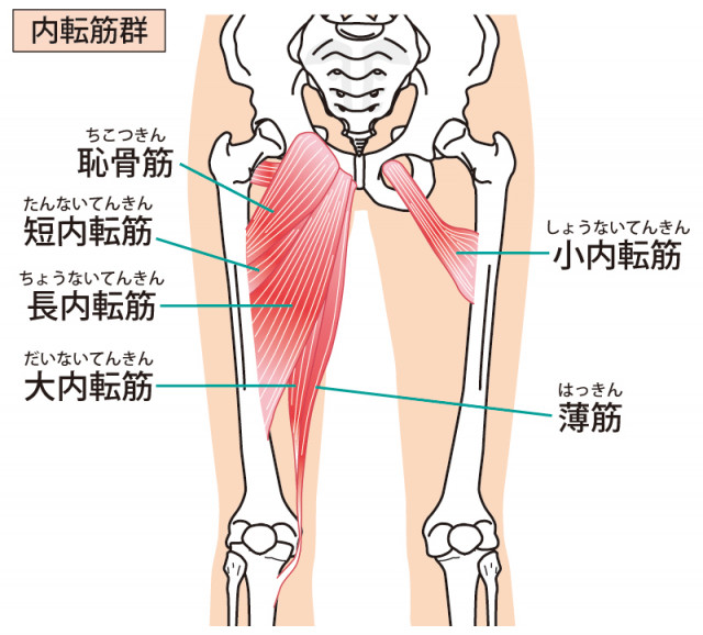 鵞足部の調整