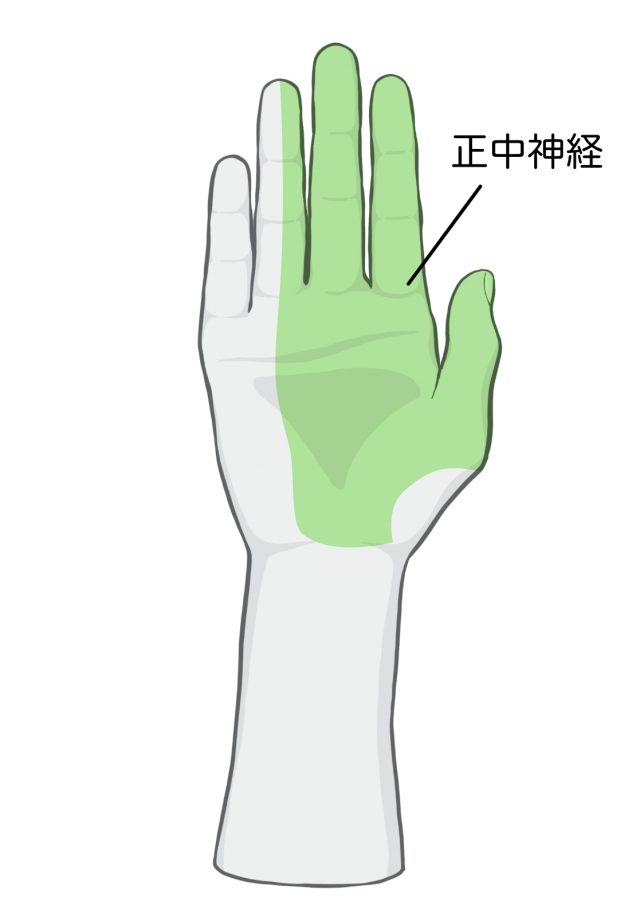 腕や手のシビレ　手根管症候群