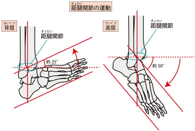 三角骨障害